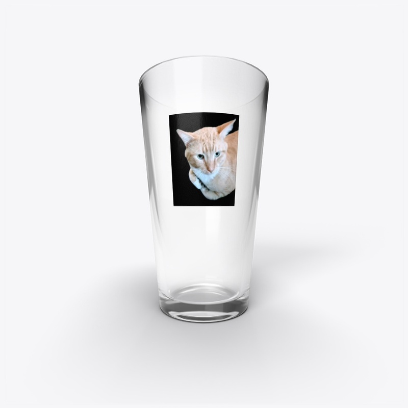 "Pawsitive Vibes Only"