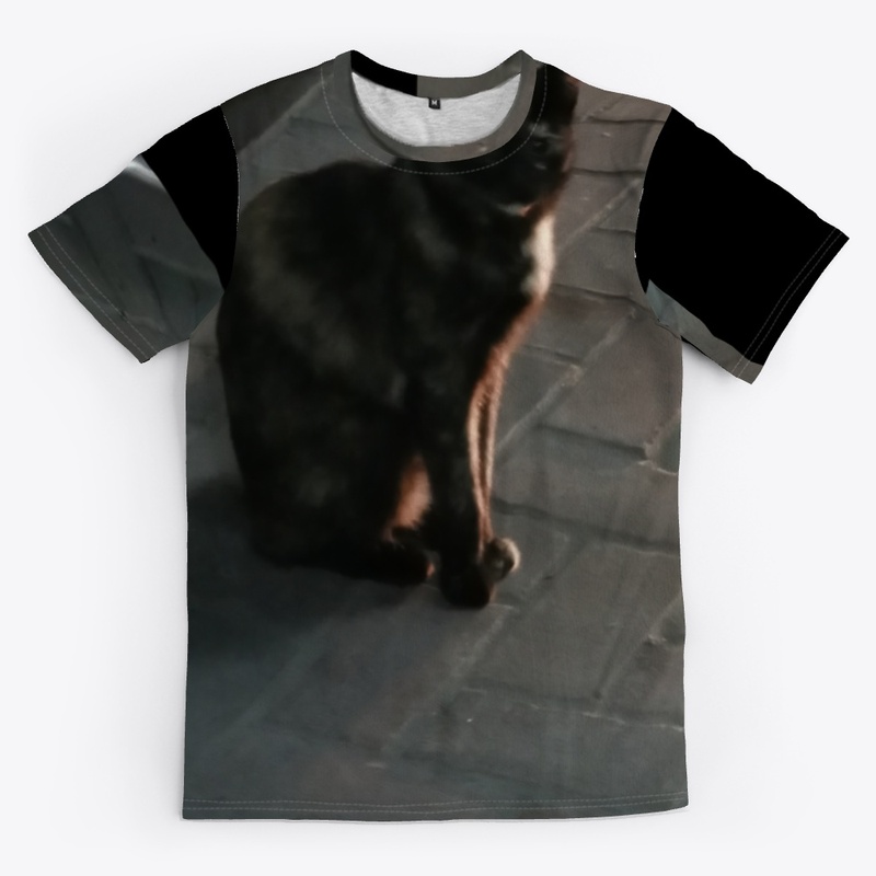Cats lovers 2020