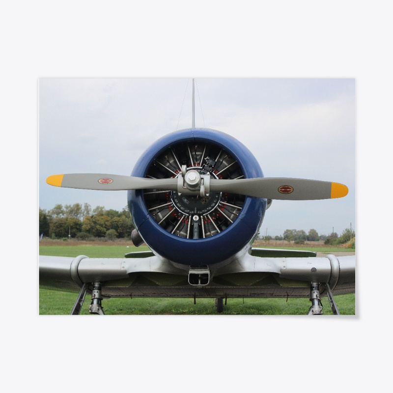 T6 Texan
