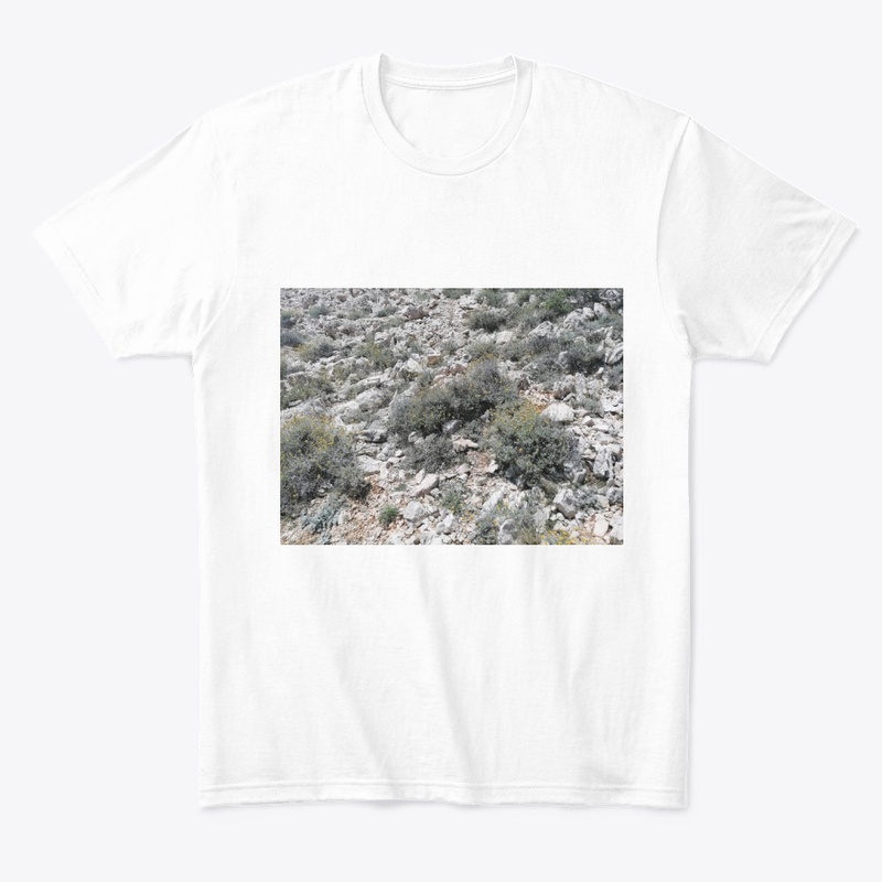 Immortelle