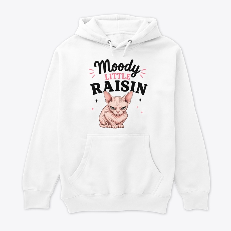 Moody Little Raisin Sphynx Cat