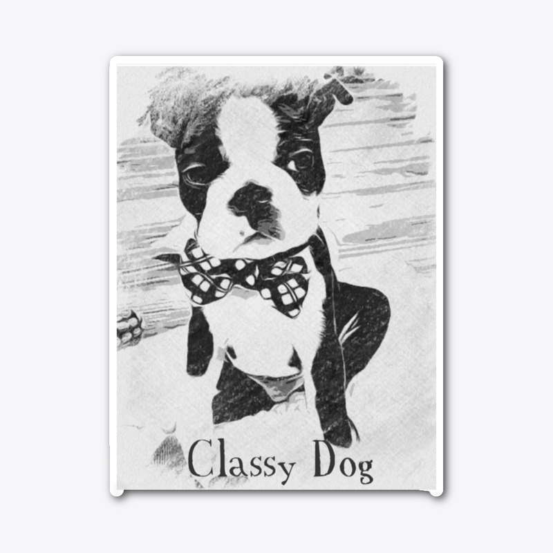 Classy Dog