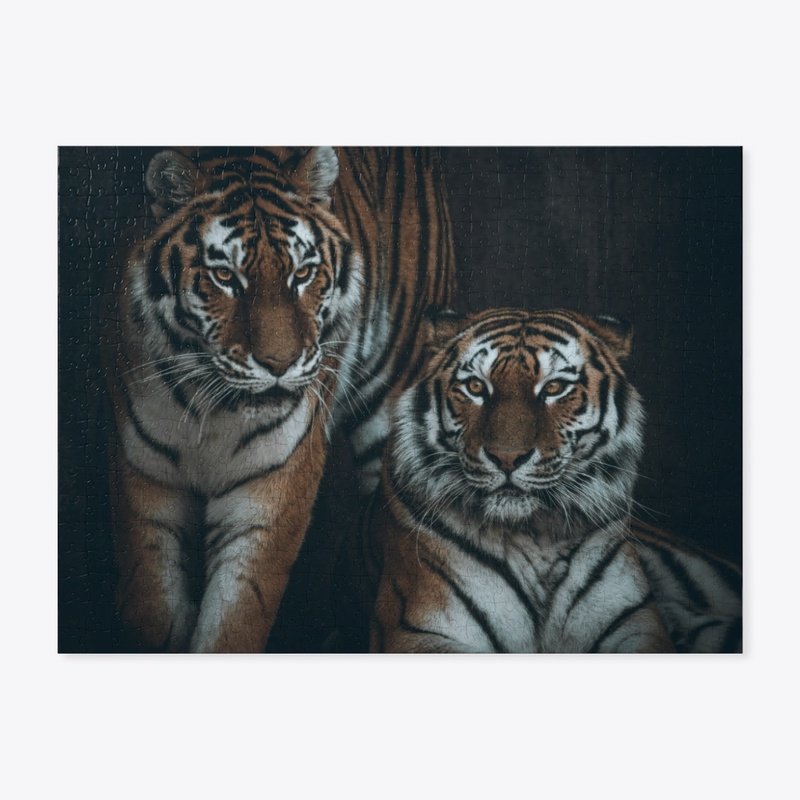 Big Cats