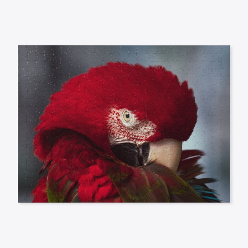 Birds of a feather 2