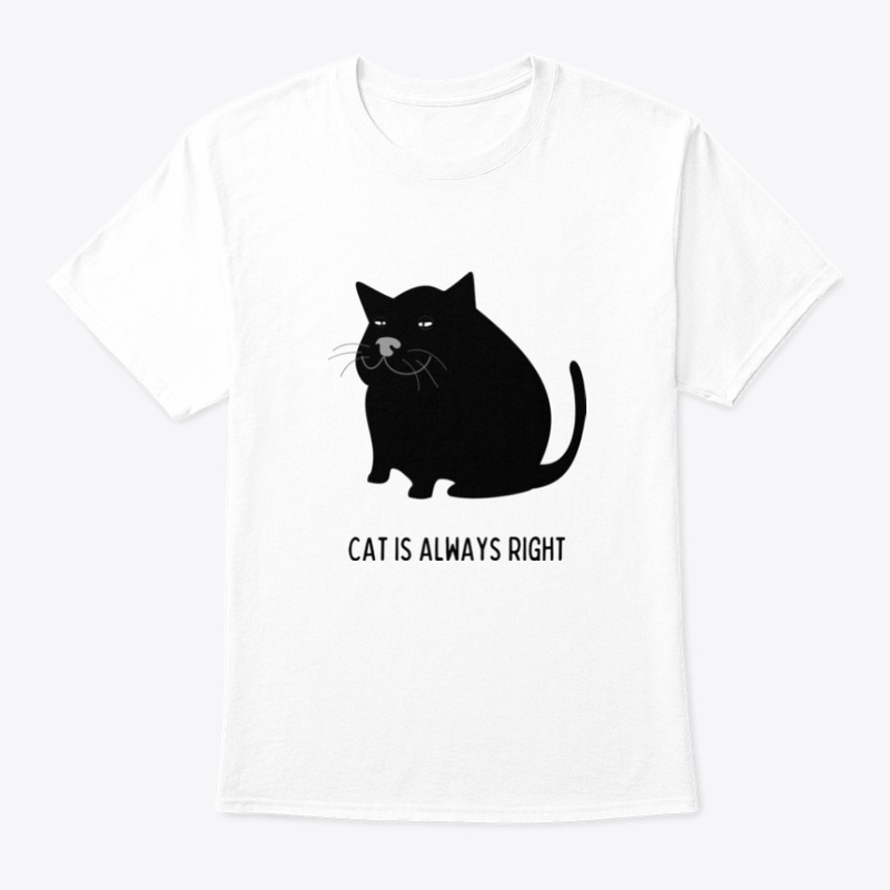 Cat is always right