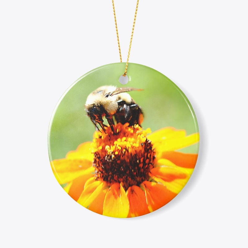 Bee On a Flower
