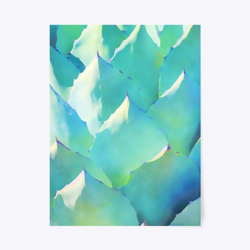 Agave