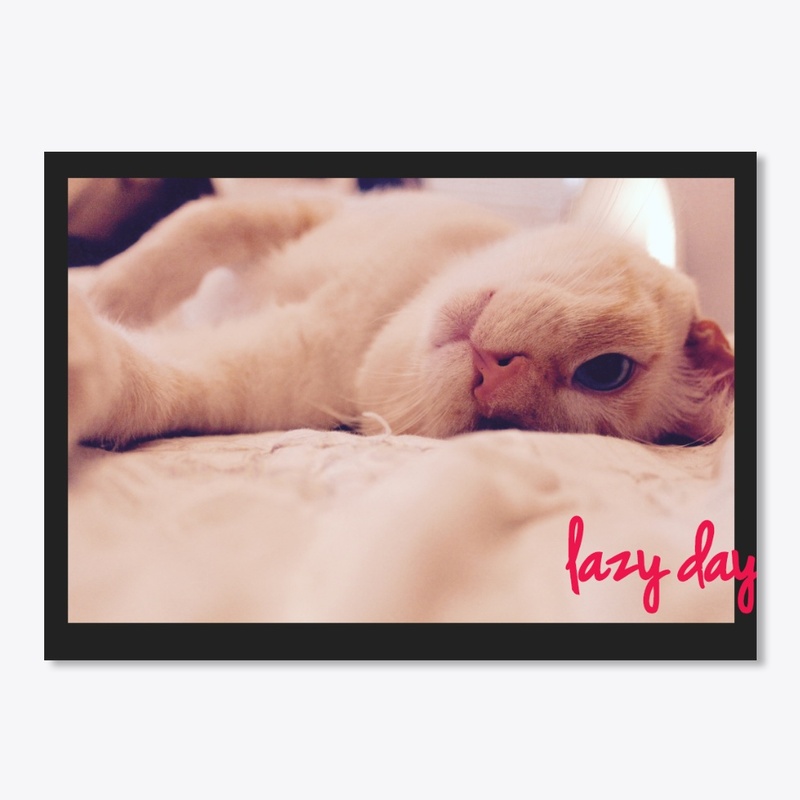 Lazy cat day 😻😻😻