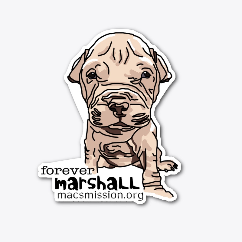 2020 Marshall Memorial