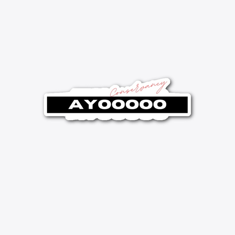 Ayooo Swimwear Collection