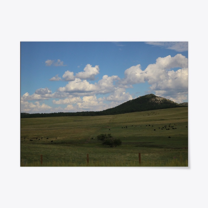 Colorado 43