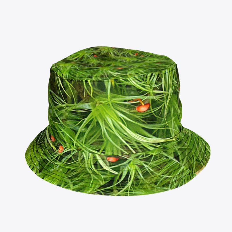 Reliable Softness #3 - Mood Moss