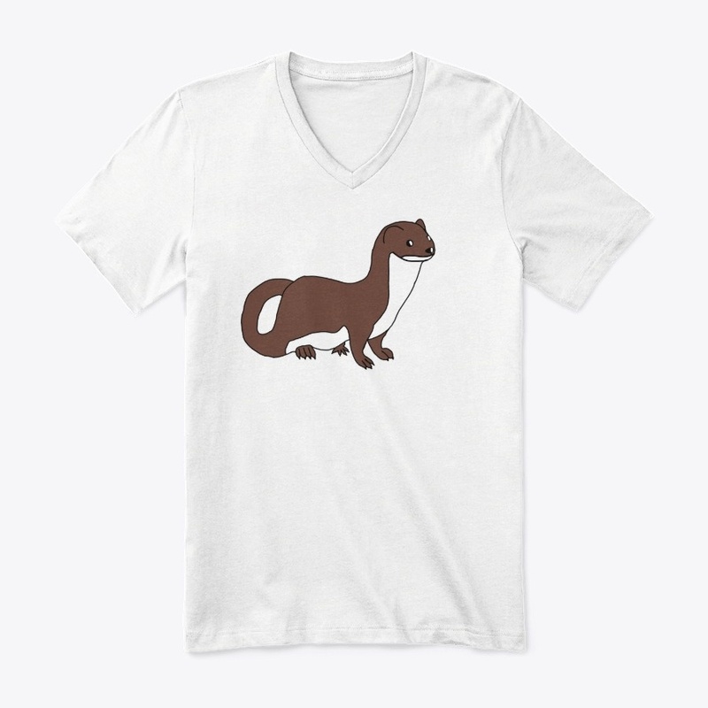Ferret