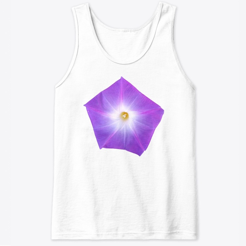 Magnificent Morning Glory