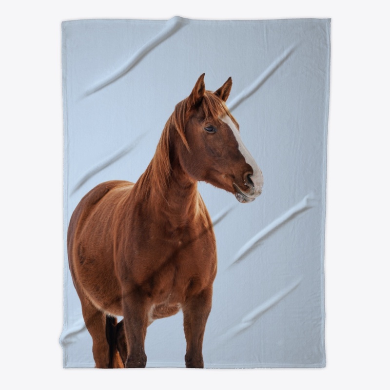 comfy horse blanket and hoodie