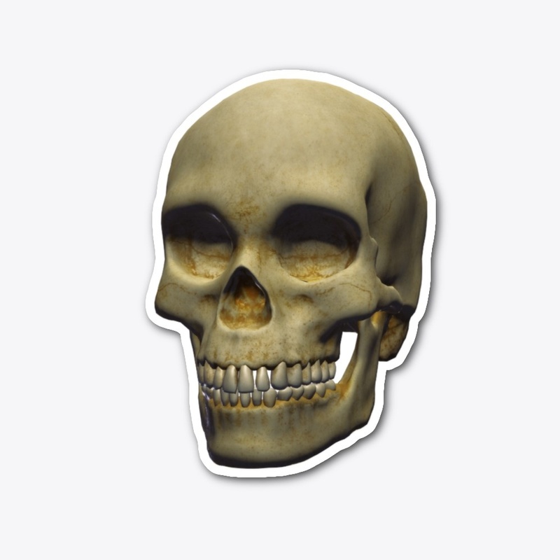 3D Skull