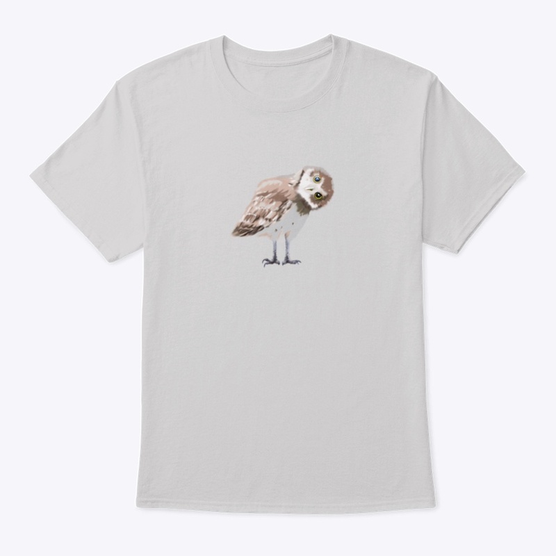 Little Burrowing Owl