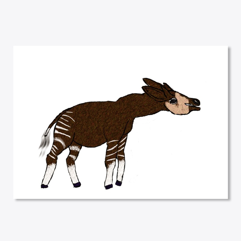 Okapi Forest Giraffe