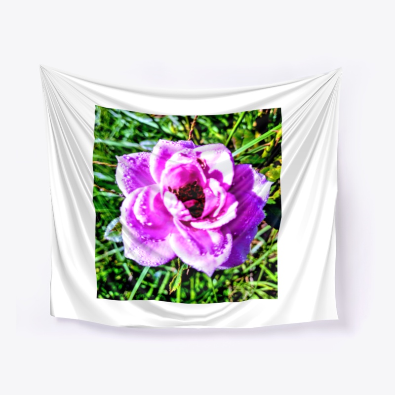 Pink Flower