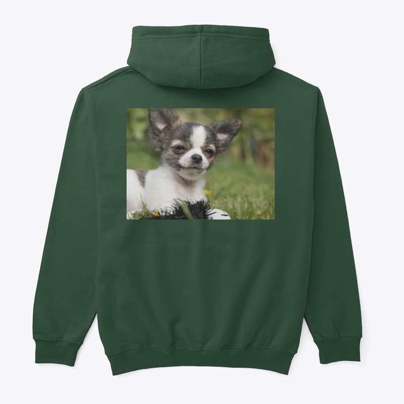 LOVELY PUPPY 12