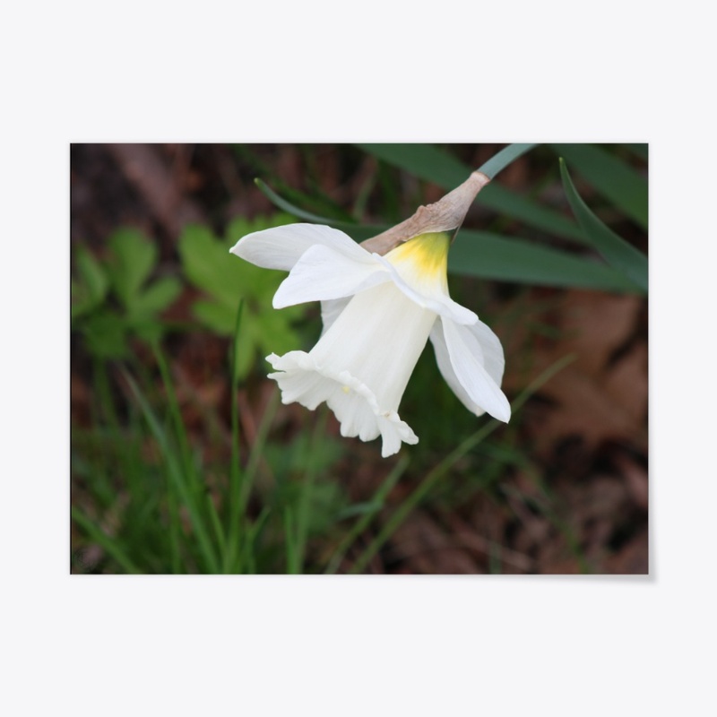Flower 14