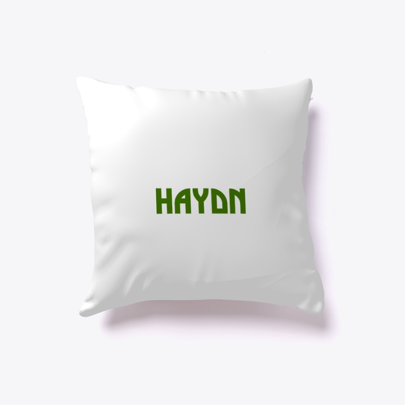 HAYDN METAL