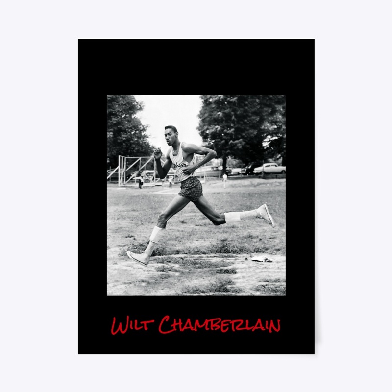 Everyday Ecofriendly Hoodie & Things