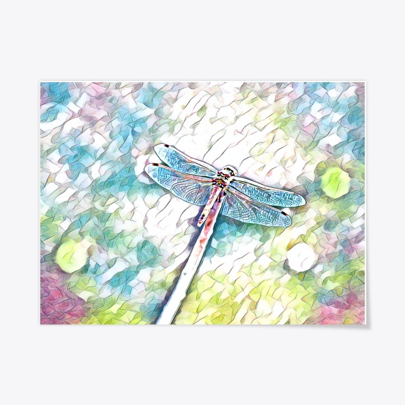 Iridescent Dragonfly