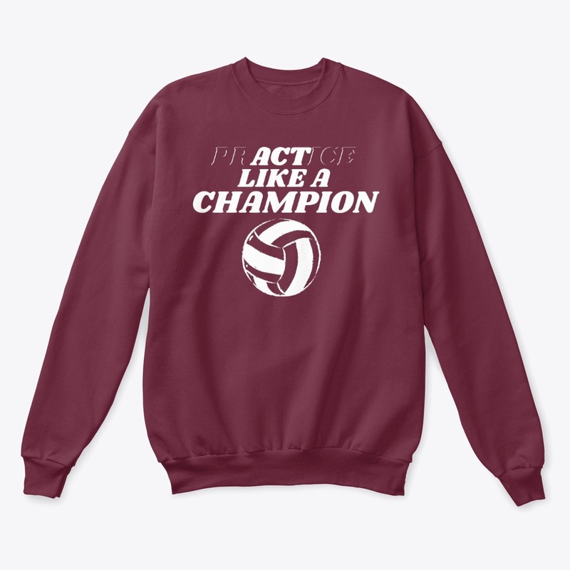 Practice Like a Champion Volleyball