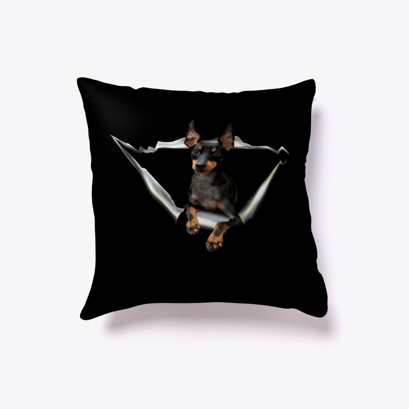 English Toy Terrier