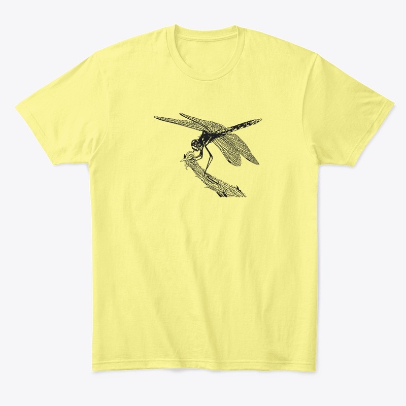 Perched Dragonfly