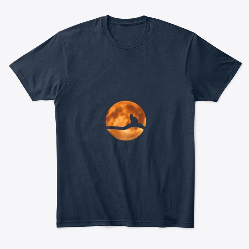 Moon cat