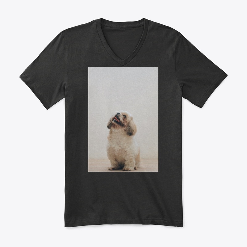 GOOD  DOG