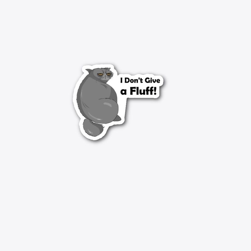 220827 Fluffy Cat