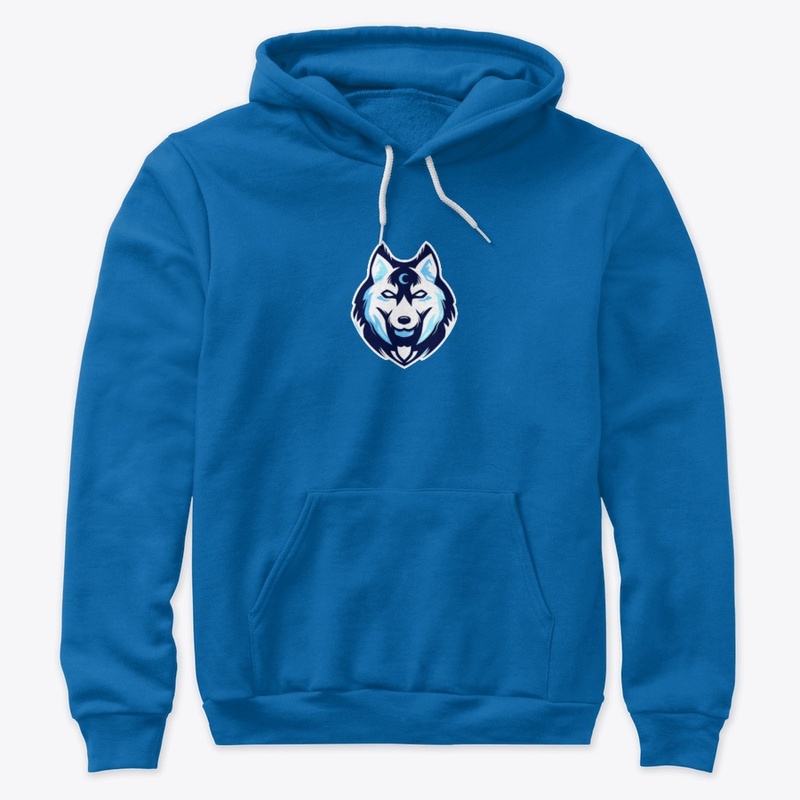 Team Arc Hoodie