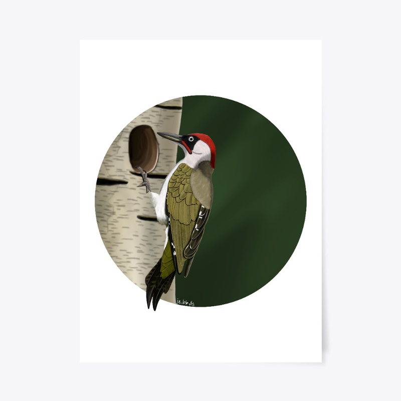 jz.birds Green Woodpecker Bird Design