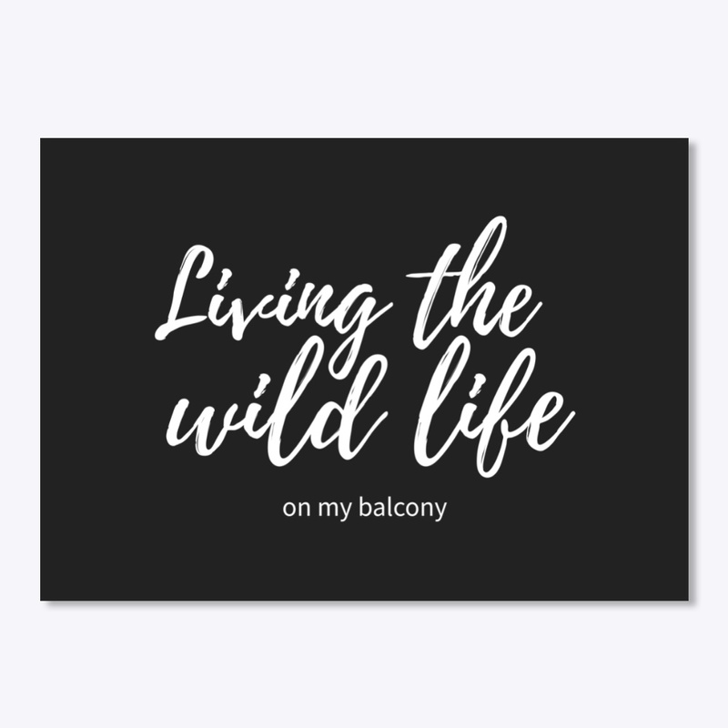 Living the wild life. On my balcony