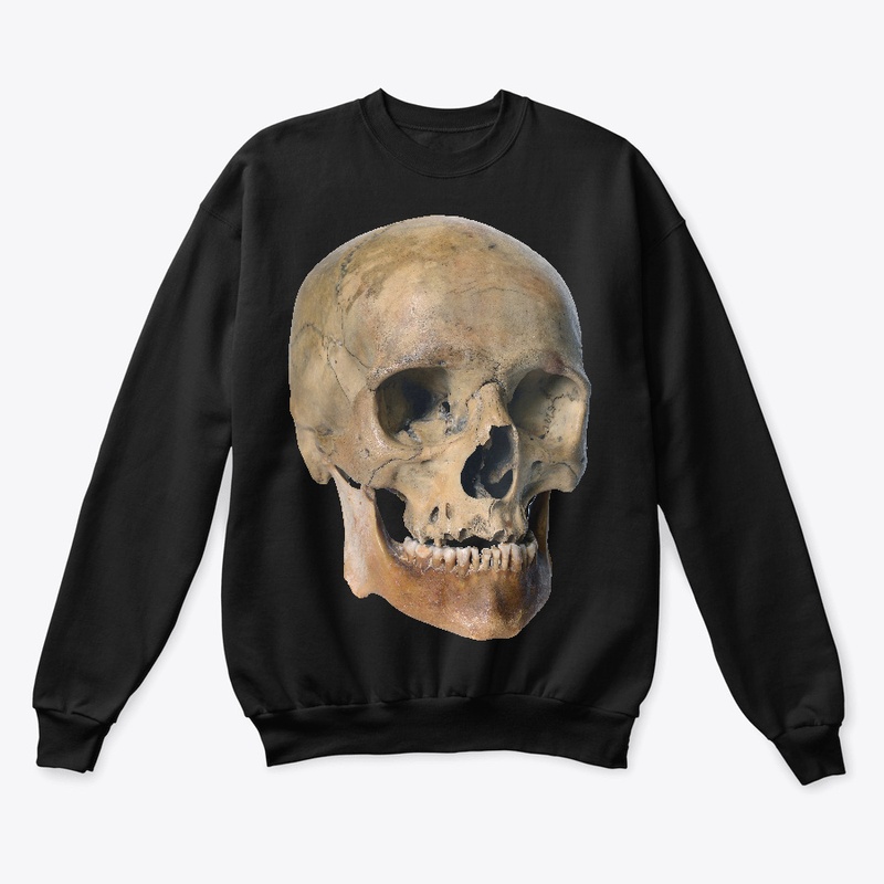 Old Weathered Skull