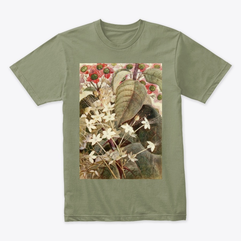 Clerodendron