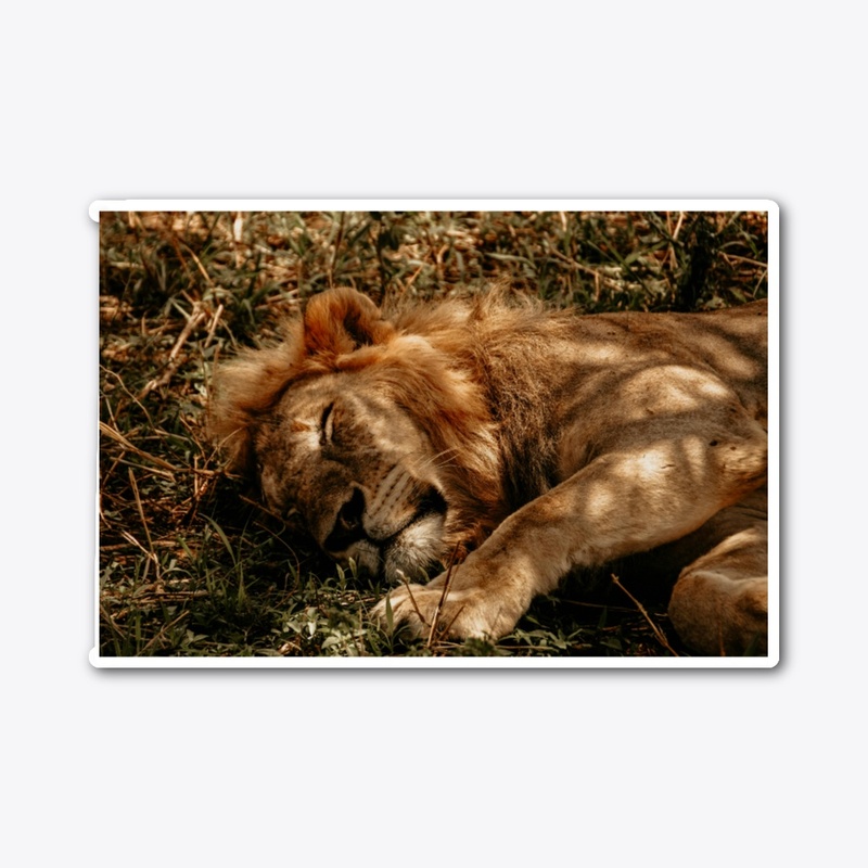 Serene Lion