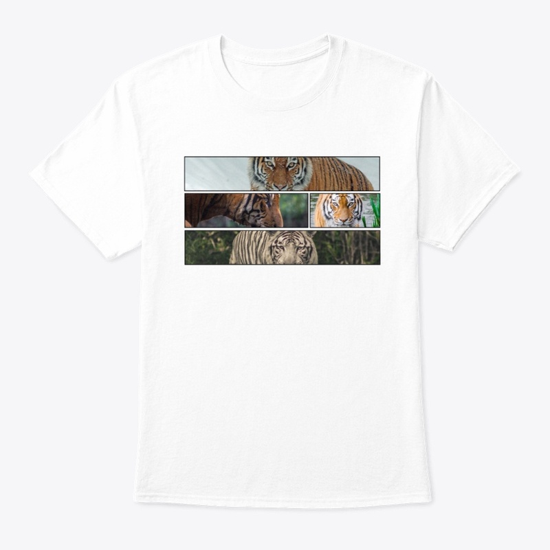 Four Tigers
