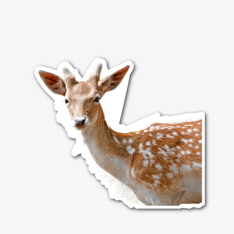 Deary Deer