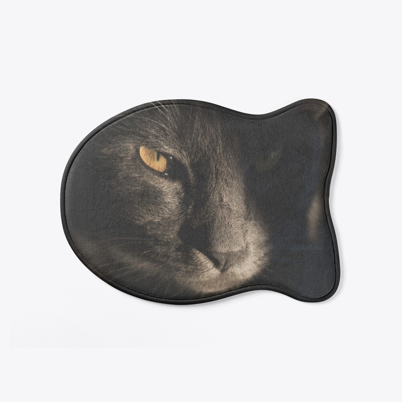 Black Cat