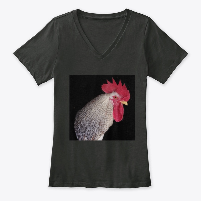 rooster2