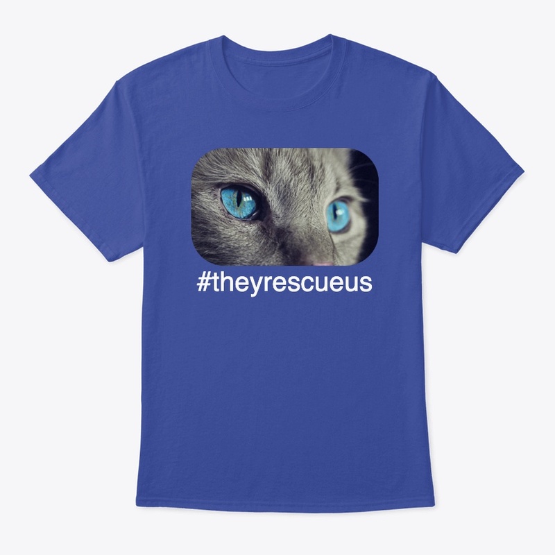 blue eyed cat navy