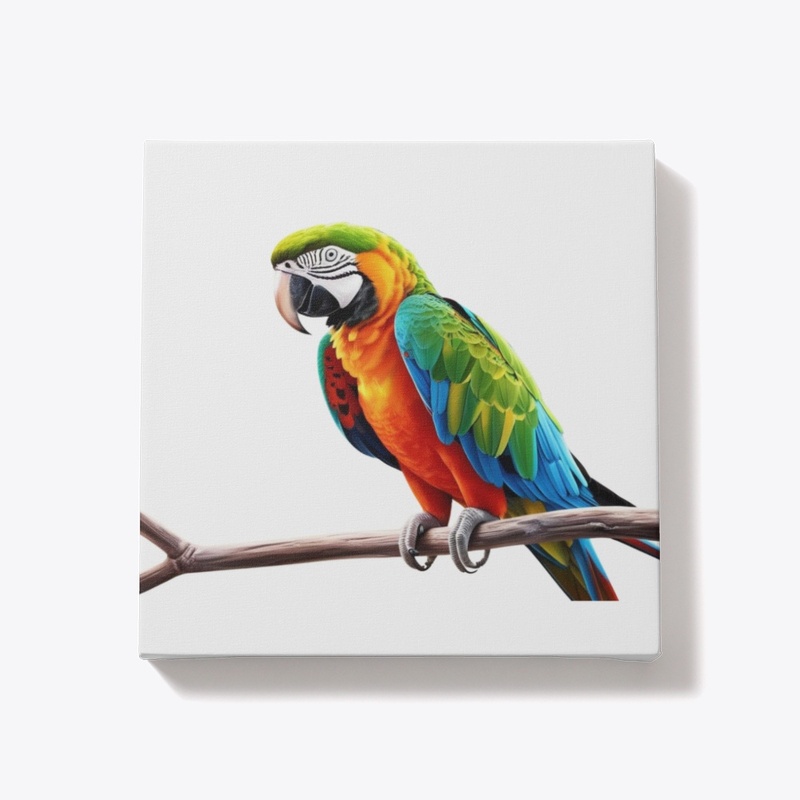 BEAUTIFULLY COLORED PARROT