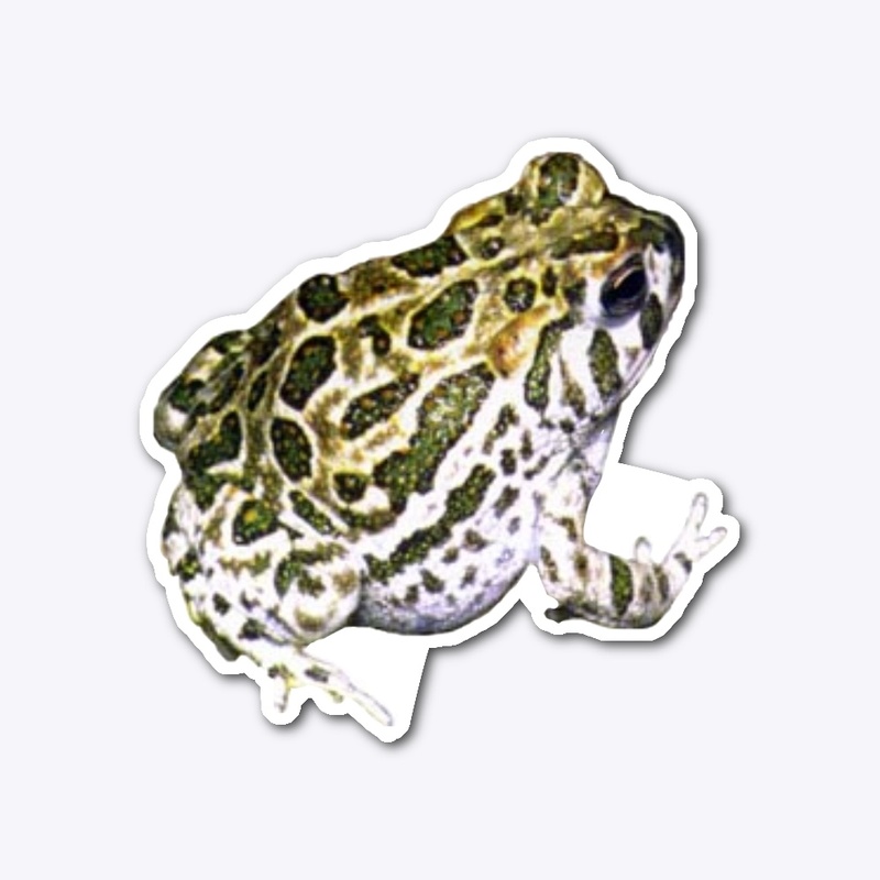 Great Plains Toad sticker
