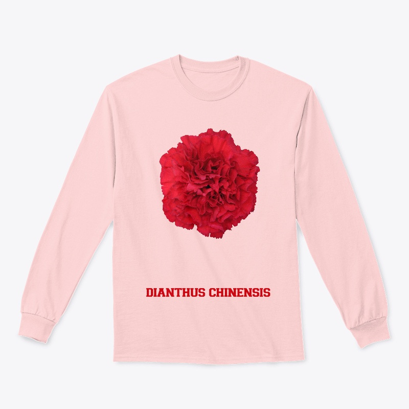 Women Dianthus Collection