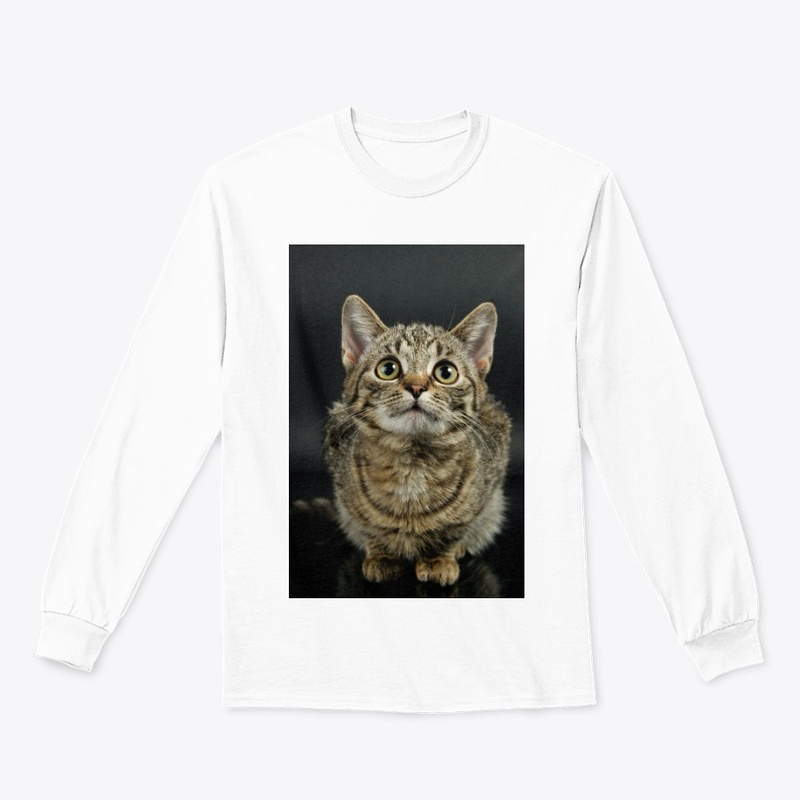 Cute Cat 