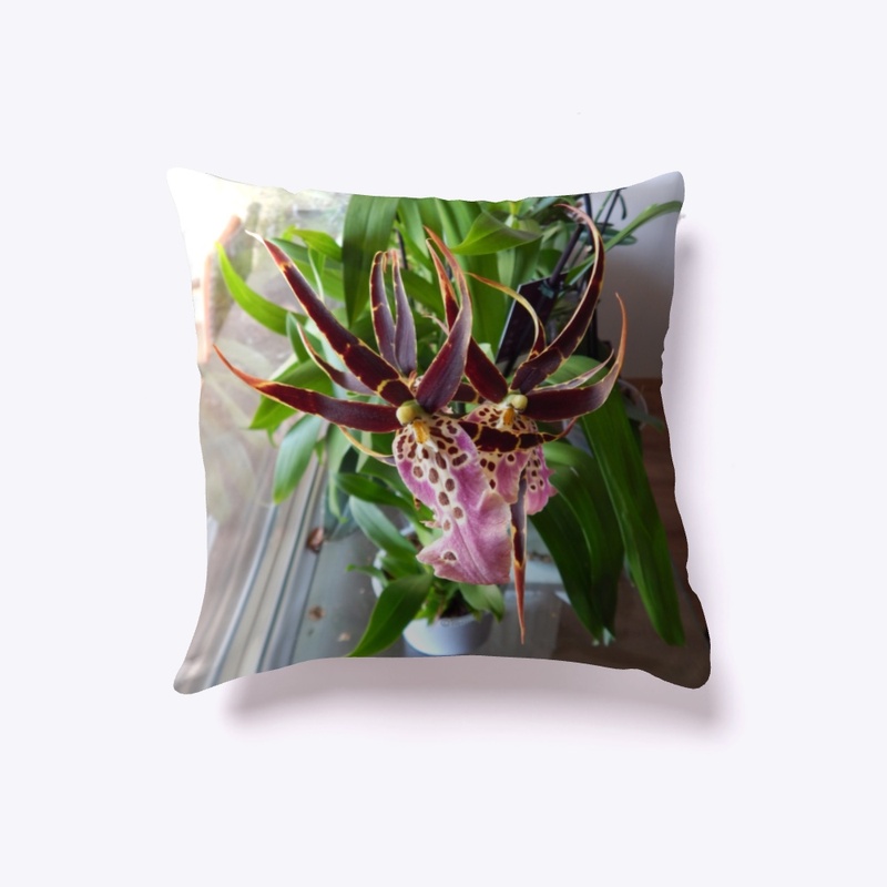 Brassia Orchid Throw Pillow